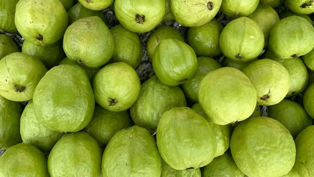 30 High-Fiber Foods for Weight Loss 7 Guava