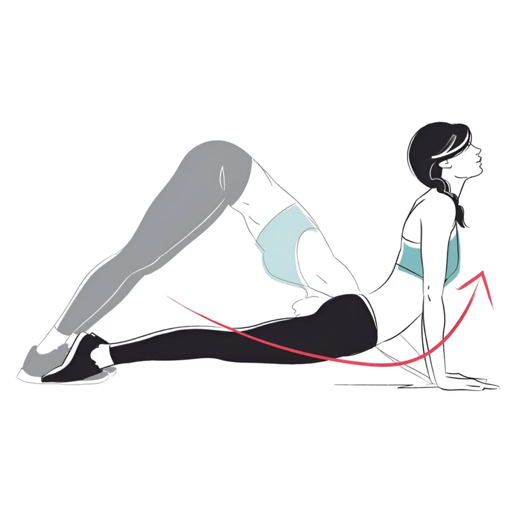 Downward Dog To Cobra Flow
