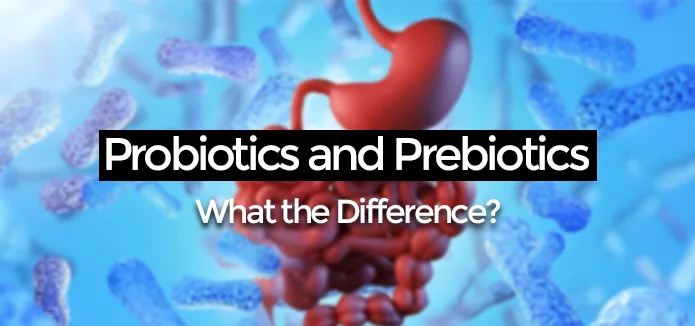 Prebiotics Vs Probiotics