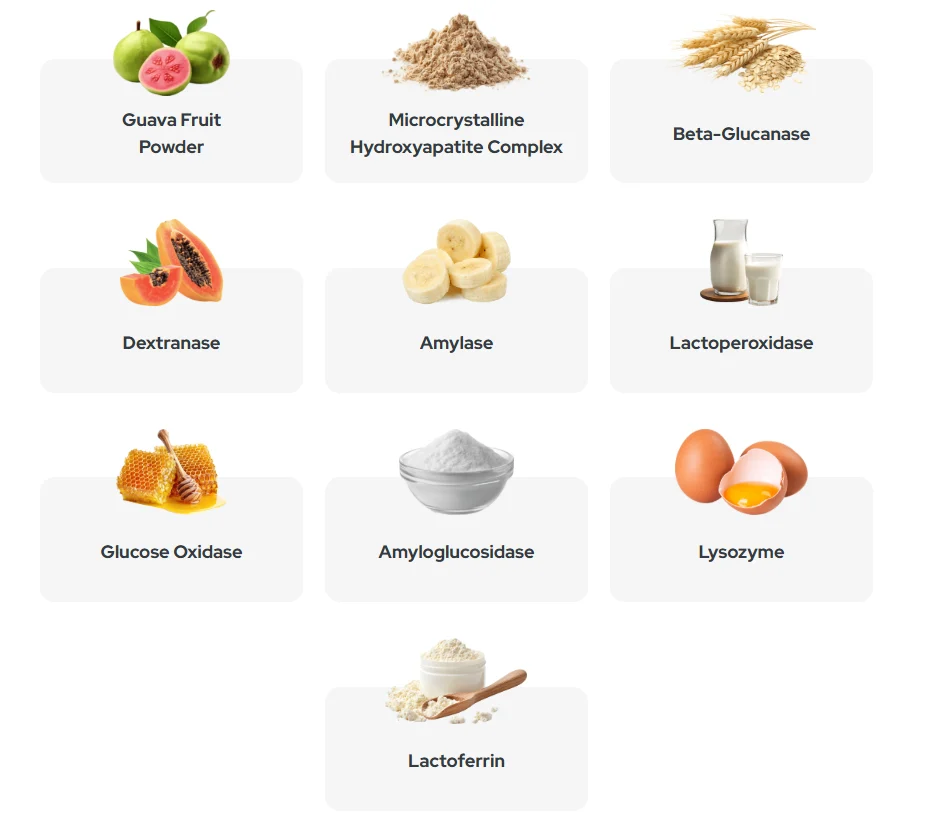 Synadentix Reviews 2025 – My Personal Test: Did It Really Restore My Oral Health? 4 Synadentix Ingredients