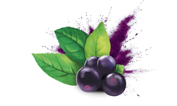 01 maquiberry 1280px.576x0