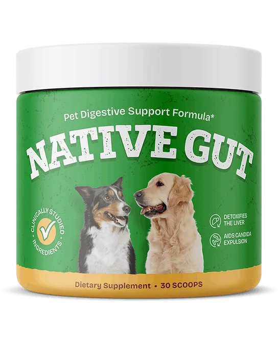 I Gave Native Gut to My Dog for 30 Days – The Results Surprised Me 1 native gut