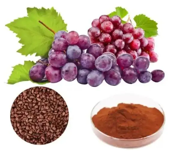 Grape Seed Extract