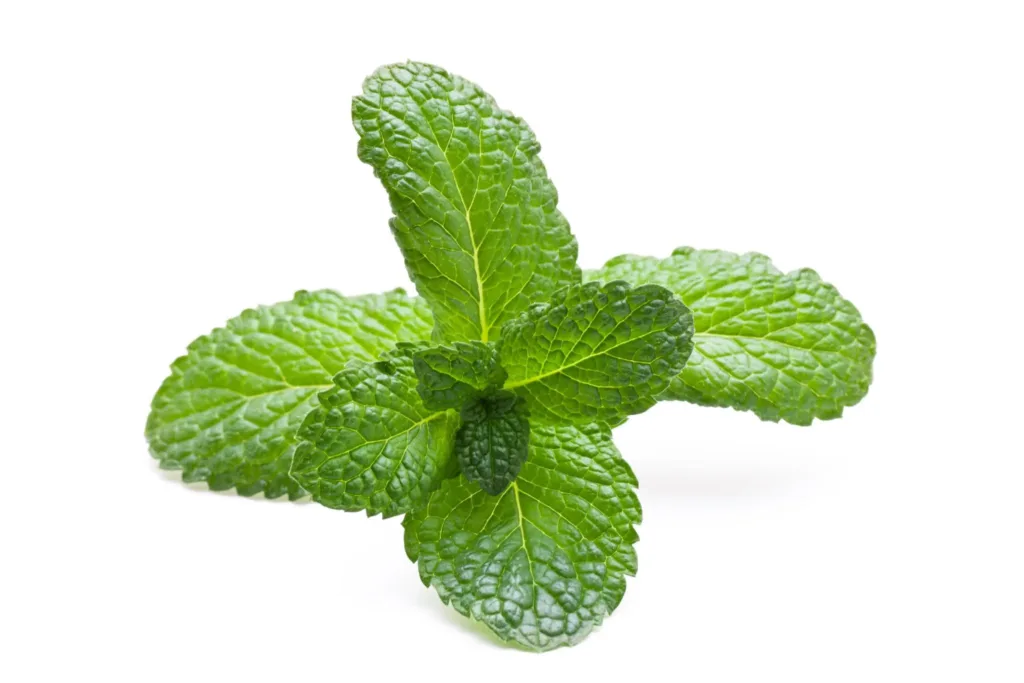 Menthol Complex
