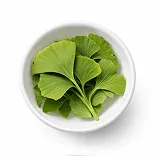 Ginkgo Biloba (Ginkgo biloba)